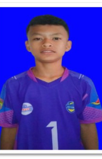 Pemain