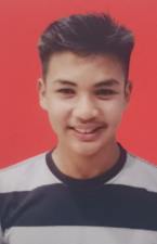 Pemain