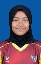 Pemain