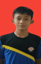 Pemain