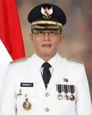 Ketua Umum Federasi Bola Voli
